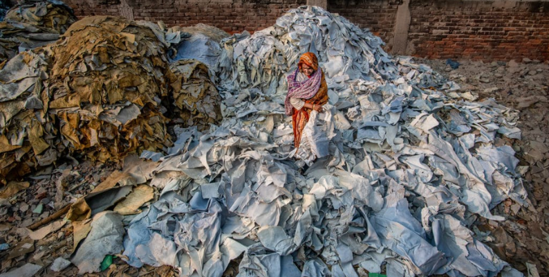 Hazardous fabrics: Understanding the Environmental Impact of Different Fabrics